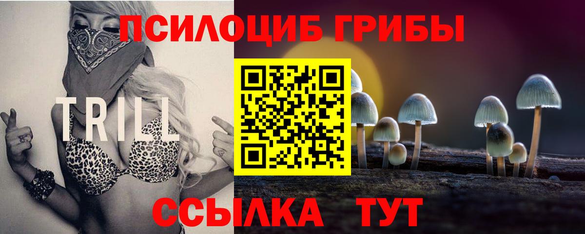 Галлюциногенные грибы Magic Shrooms  Вход с VPN  наркота  Заречный 