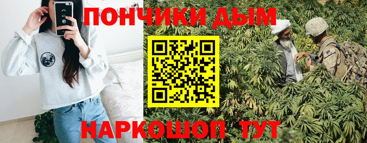 Бошки Шишки сатива Заречный